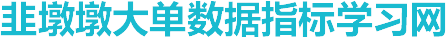 韭墩墩大单数据指标学习网